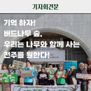 [기자회견문] "우리가 함께 숲이 되자" 기억하자! 버드나무 숲, 우리는 나무와 함께 사는 전주를 원한다! 이미지