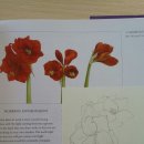 예쁜 꽃그리기(보테니컬아트) 이미지