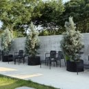 덕기목장 이미지