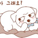 퍼피타임 이미지