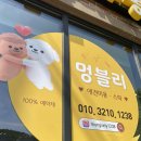 샘마루동물병원