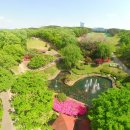 대구대학교 이미지