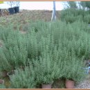 부귀농장 이미지