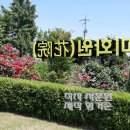 장미화원 이미지