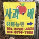 김경철농장 이미지