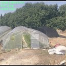 용흥보건진료소 이미지