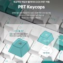 [컴퓨터|키보드] 콕스 기계식 키보드 CK88 (딥씨축) 후기