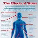 최한의원 이미지