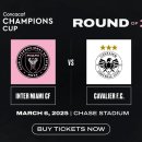 인터필드 이미지