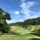 엑스골프 이미지