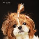 은하사진관