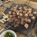 채자순복주막창 | 대구 막창 맛집 현지인 내돈내산 만촌 채자순복주막창 소막창 후기