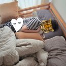 하조델리 | 양양 해수욕장숙소 하조델리 커플이 가기 좋은 바다 앞 감성숙소