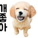신세계게임랜드 이미지