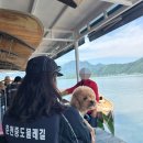 춘천물레길 | [춘천 여행코스 추천] 춘천 중도 물레길 애견동반 카누 🛶 체험 후기