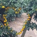 담모라호텔 이미지