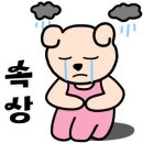 피자스톰 - 수원시 권선구 매실로 51 | 피자스톰