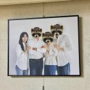 라라스튜디오 가족사진 프로모션 촬영 수령 후기