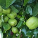 내고향서천 이미지