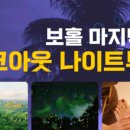 반딧불안경 이미지