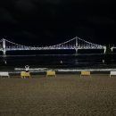 언플랜드88 이미지