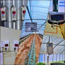 (주)와이즈팜 이미지