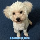 성산2동 주민센터 이미지