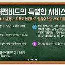 엘비드 이미지