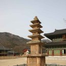 (주)본비코리아 이미지
