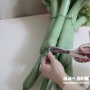 풍선아트로 만드는 나만의 튤립 꽃다발 | 요술풍선 튤립 만들기 | 풍선꽃다발 DIY 셀프 선물용 후기