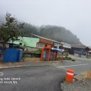 밀양시(상동교) 네이버블로그