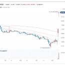 피앤이바이오 이미지