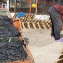 속초막걸리술빵술빵 이미지