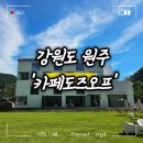 도즈커피 | 강원 원주 ㅣ 자이언트 푸들 김비서가 반겨주는 애견동반 카페 &#39;카페도즈오프&#39; 방문 후기