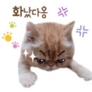 툴마트 네이버블로그