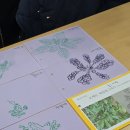 에코식물 생태도감 이미지