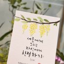 힐링의 캘리그라피 | 보험회사 행사 후기 | 직원에게 희망을 전한 출장 캘리그라피