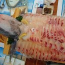 바다예찬 이미지