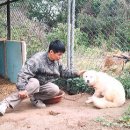 세광농장 Daum카페