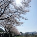 경안천 운학동 이미지