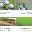 부영컨트리클럽 이미지