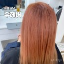 (주)뿌리 | 강남 논현역 미용실 주헤어 뿌리 탈색 후기 추천 제인부원장