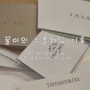 티파니 2 | 압구정 갤러리아 백화점 웨딩밴드 2차 투어 후기 | 티파니 vs 쇼메 최종 후보 결정