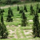 근수목장 이미지