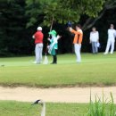 고니목장 이미지