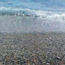 주전동어촌계(주전어촌체험마을) | 여행27] 울산 태화강 울산국가정원 태화강십리대숲 울산시티투어버스 주전몽돌해변 스텔스차박 장기차박