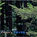 광릉수목원 이미지