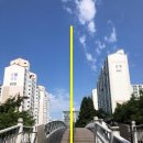 신나무실육교 이미지