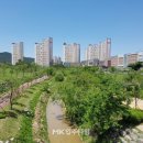 [도로]홈플러스 서수원점 이미지