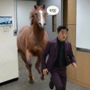 안성재 푸라닭 마요피뇨 셰프의 손길이 살짝스쳐 아쉬워 후기